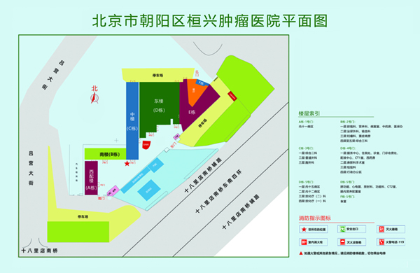 男生的鸡鸡戳女生的屁股北京市朝阳区桓兴肿瘤医院平面图